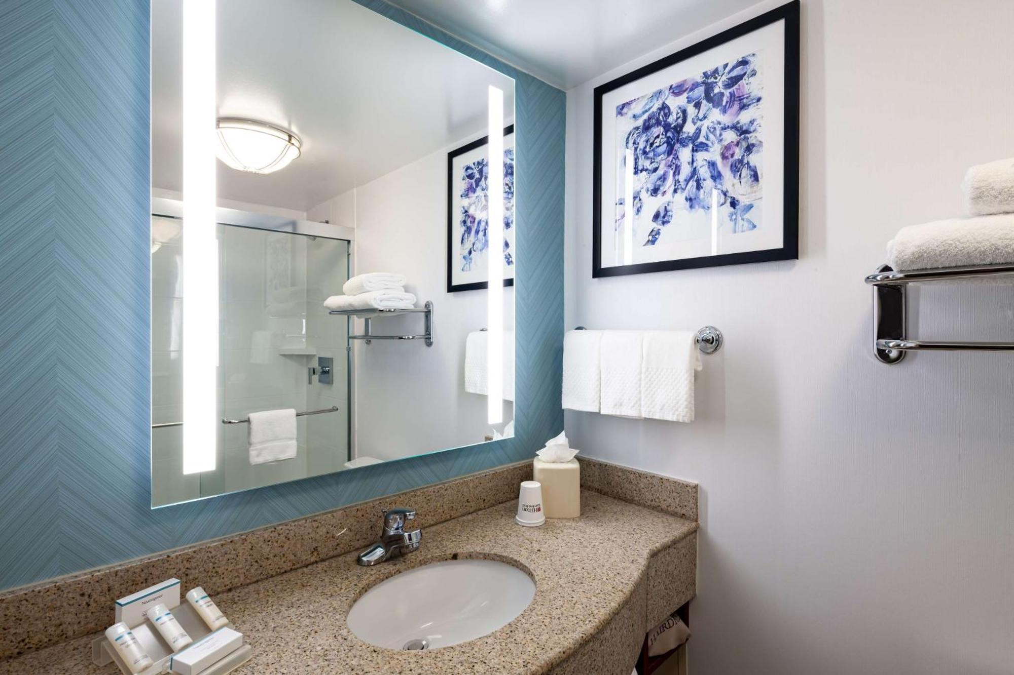 Hilton Garden Inn Chicago O'Hare Airport Des Plaines Exterior photo